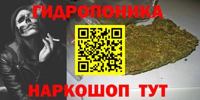 стаф Усть-Илимск