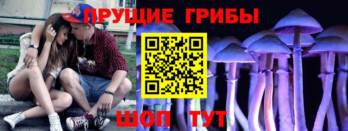 Нижний Тагил  Псилоцибиновые грибы Magic Shrooms  Вход с VPN 