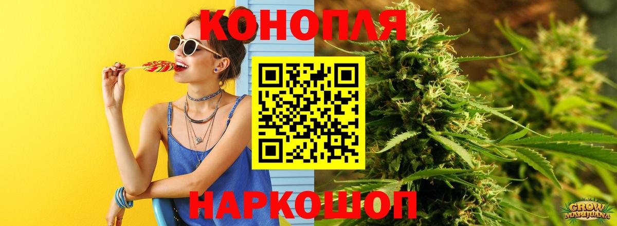Бошки Шишки ГИДРОПОН  Конопля планчик  Каннабис White Widow  Вход с VPN  Нижний Тагил  Шишки марихуана план 